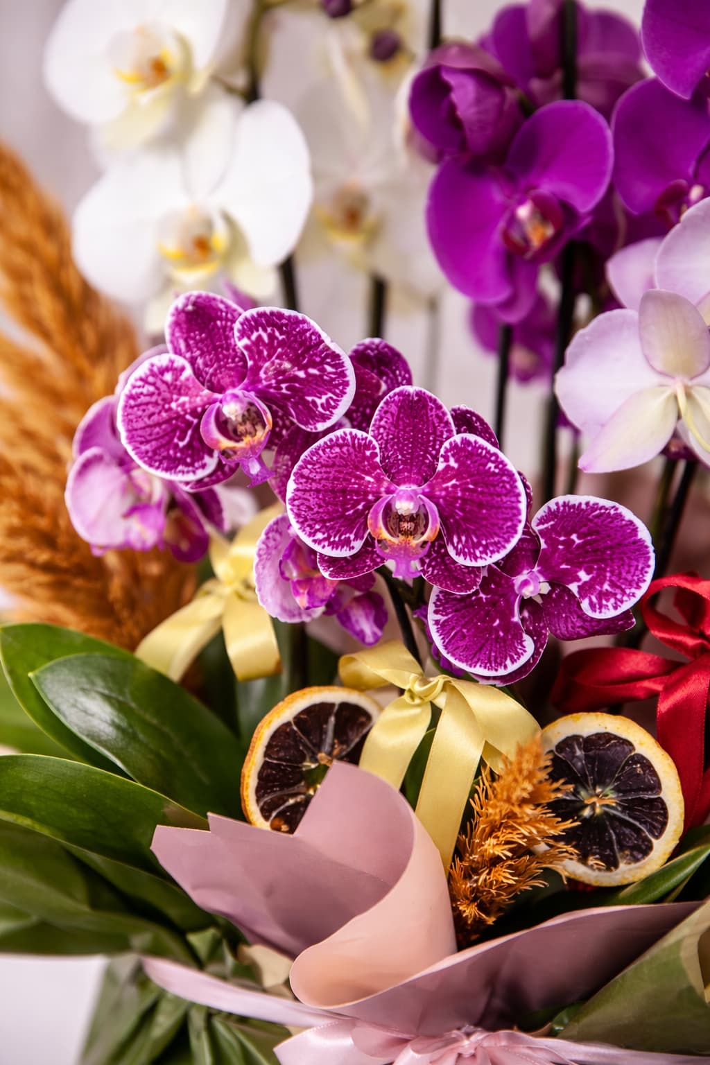 Doğal Esinti Beyaz ve Mor Mini Orkide Tasarımı