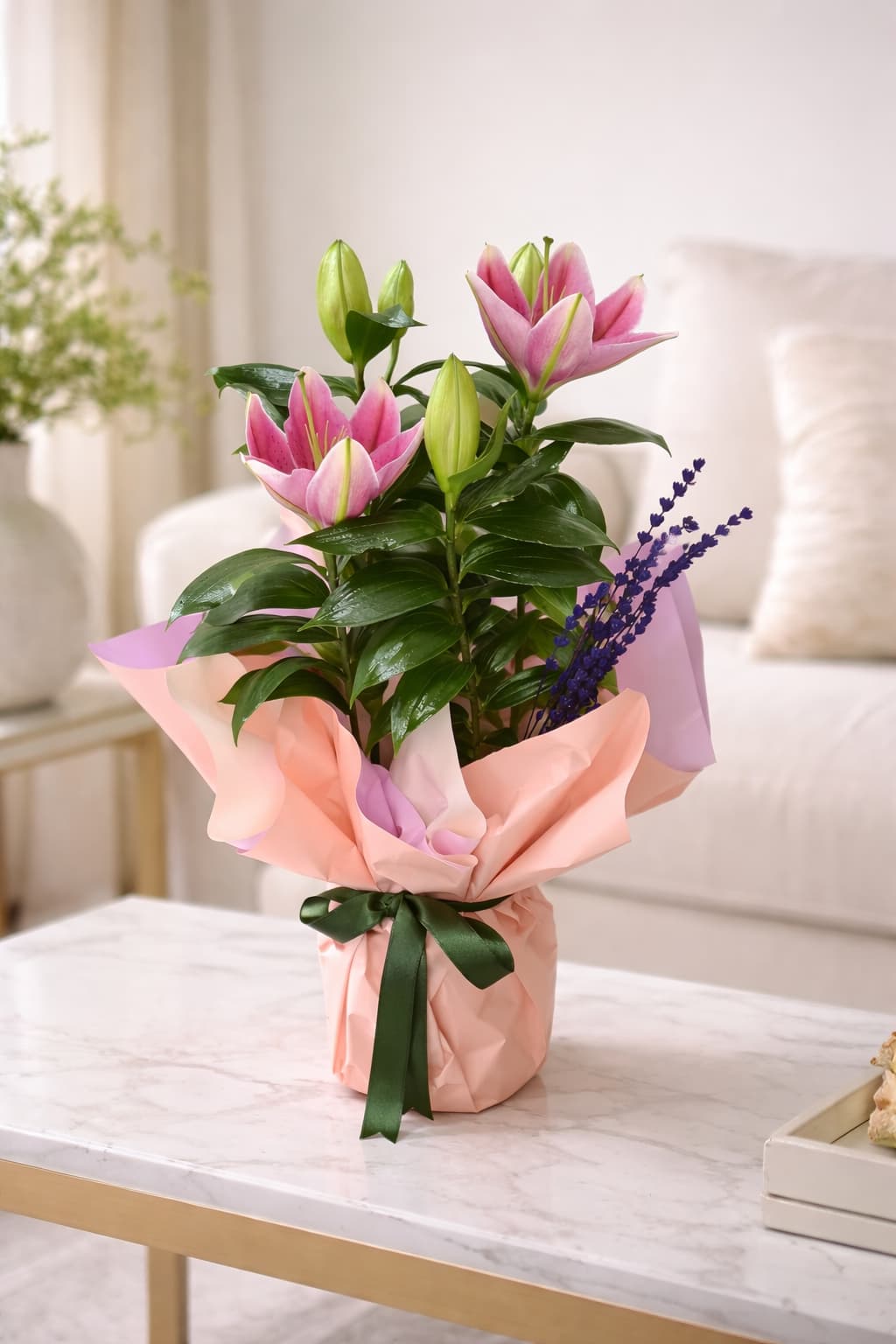 Pembe Zarafet - Kokulu Saksı Lilyum