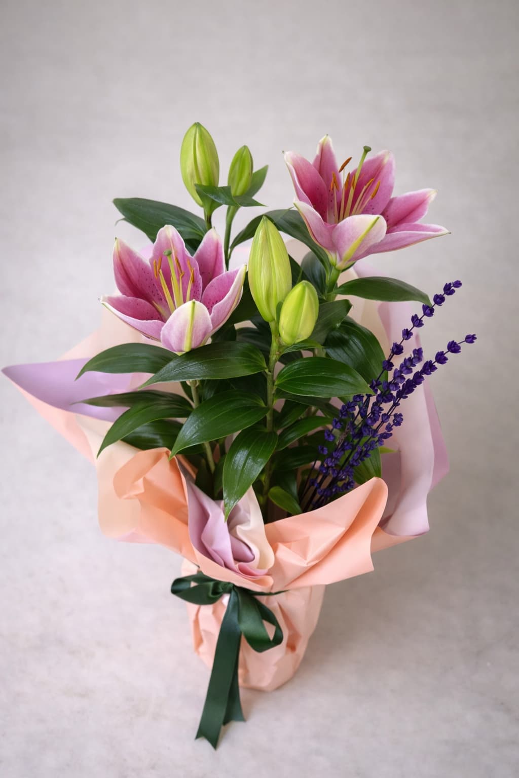 Pembe Zarafet - Kokulu Saksı Lilyum