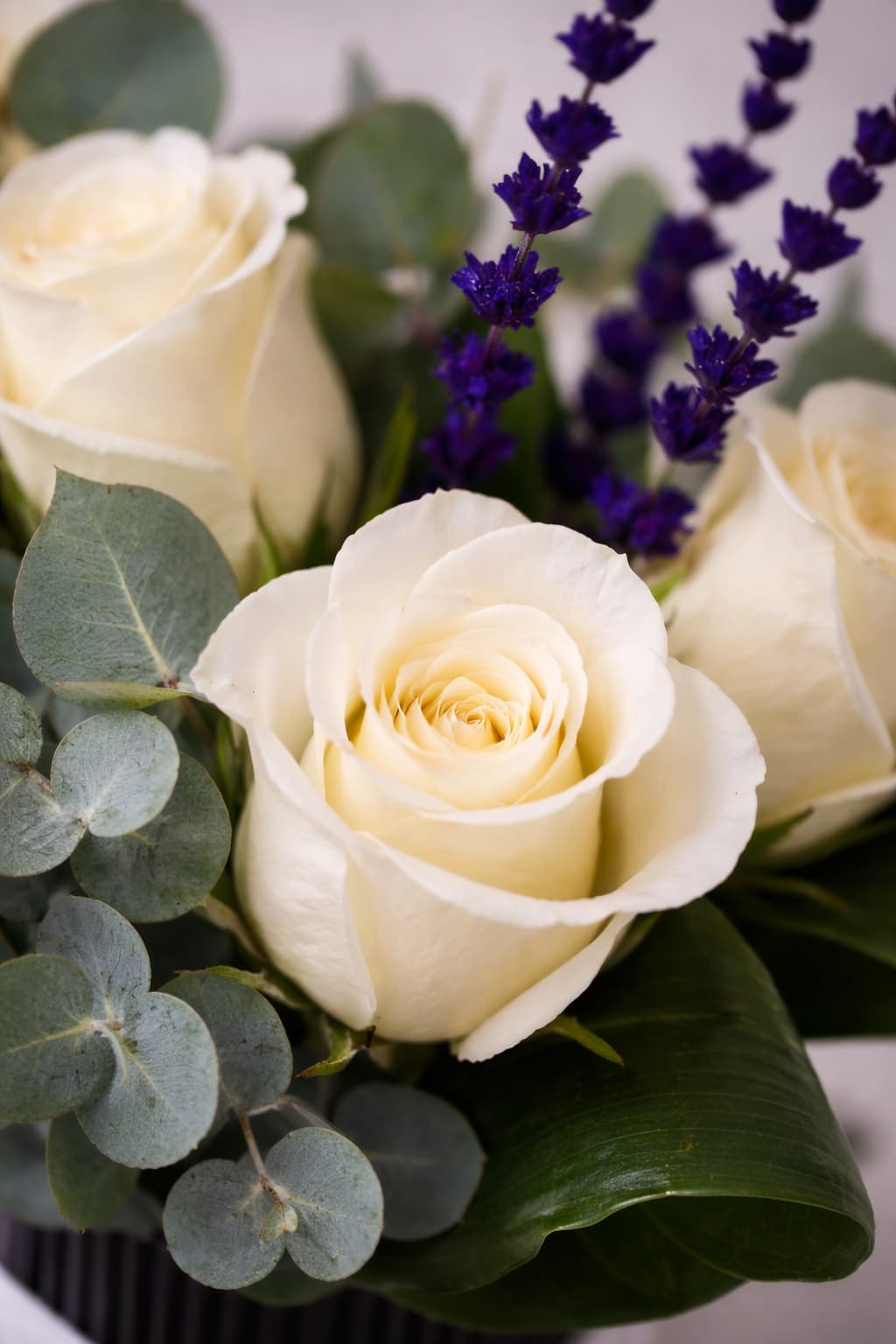 Saf Zarafet Siyah Vazoda 5 Beyaz Gül Aranjmanı