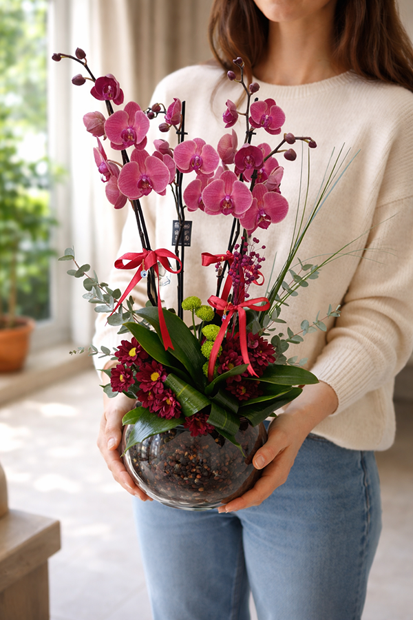 Şans Tılsımı Cam Fanusta Ateş Orkide